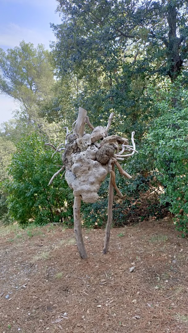 Pineta Bottini