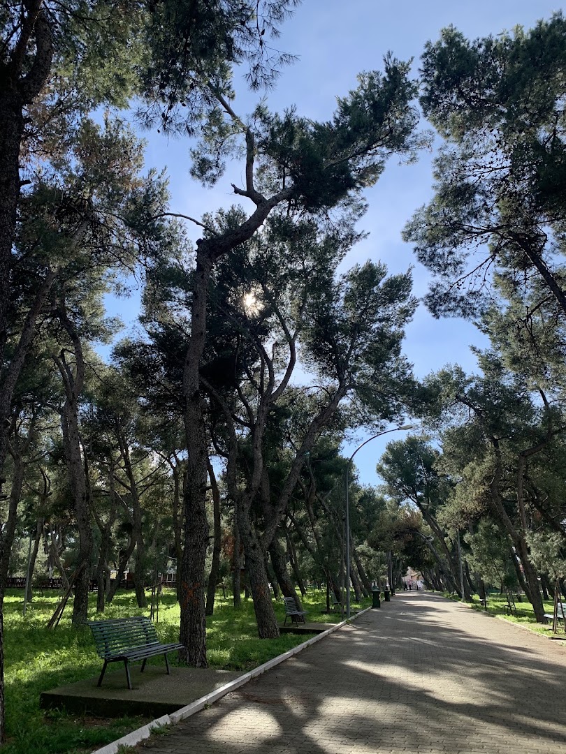 Pineta Comunale