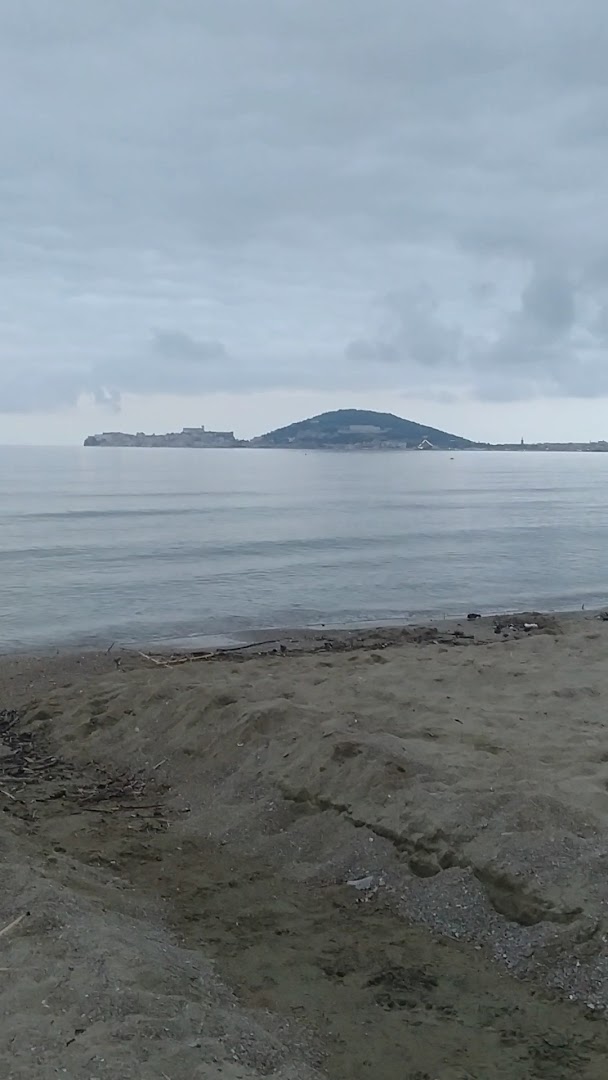 Pineta di Vindicio, Formia