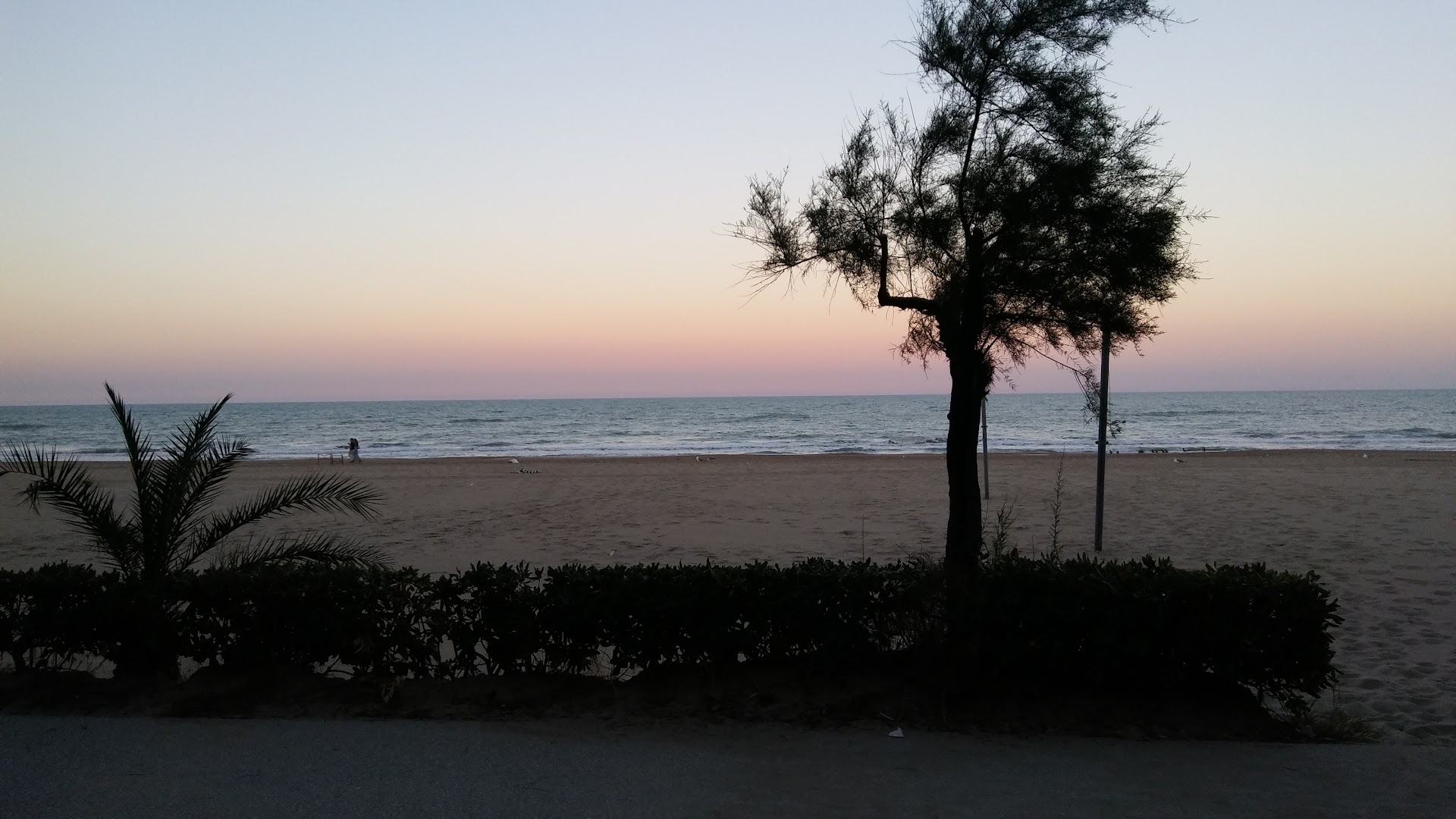 Pineta Nord, Alba Adriatica