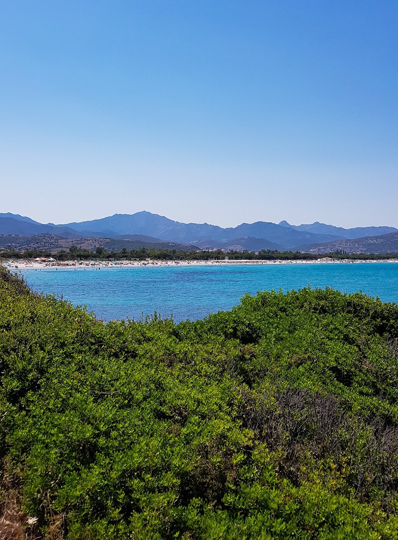 Pineta Sant'Anna