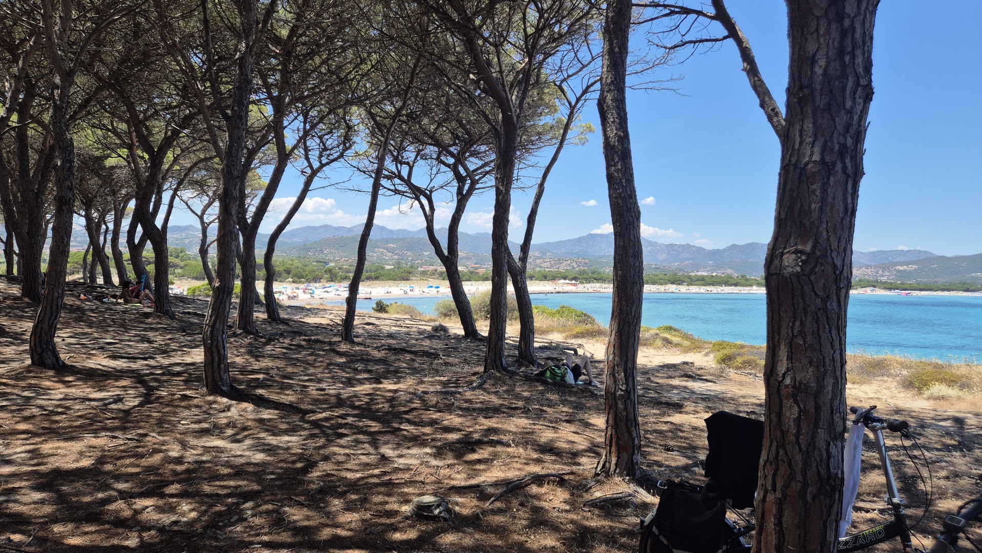 Pineta Sant'Anna