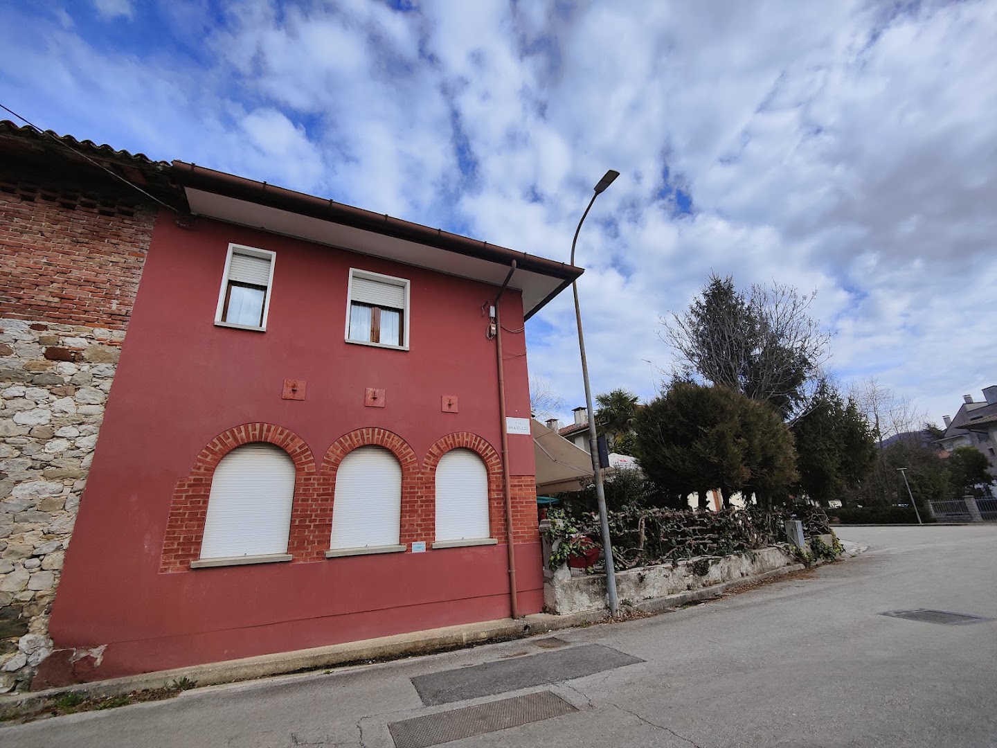 Pino Solitario