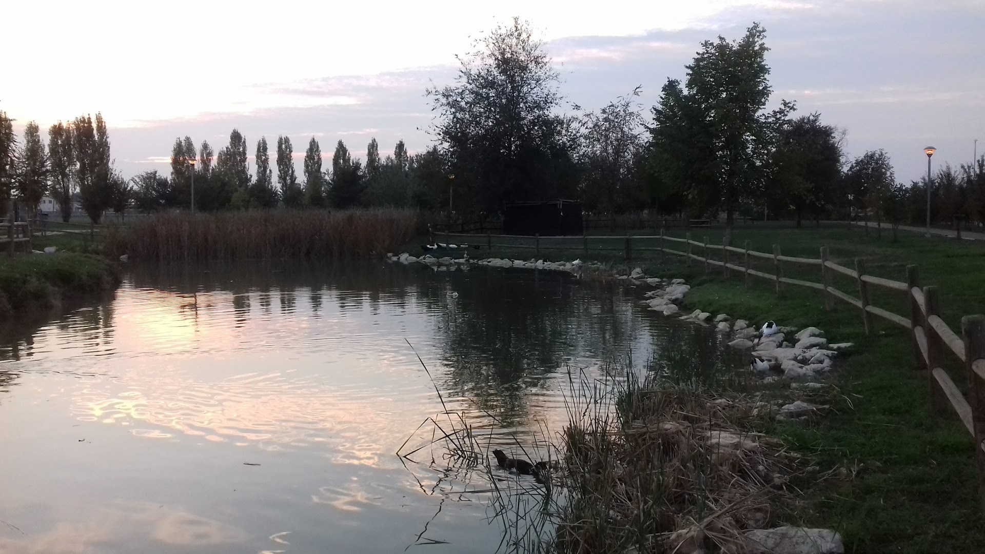 Piscina San Felice