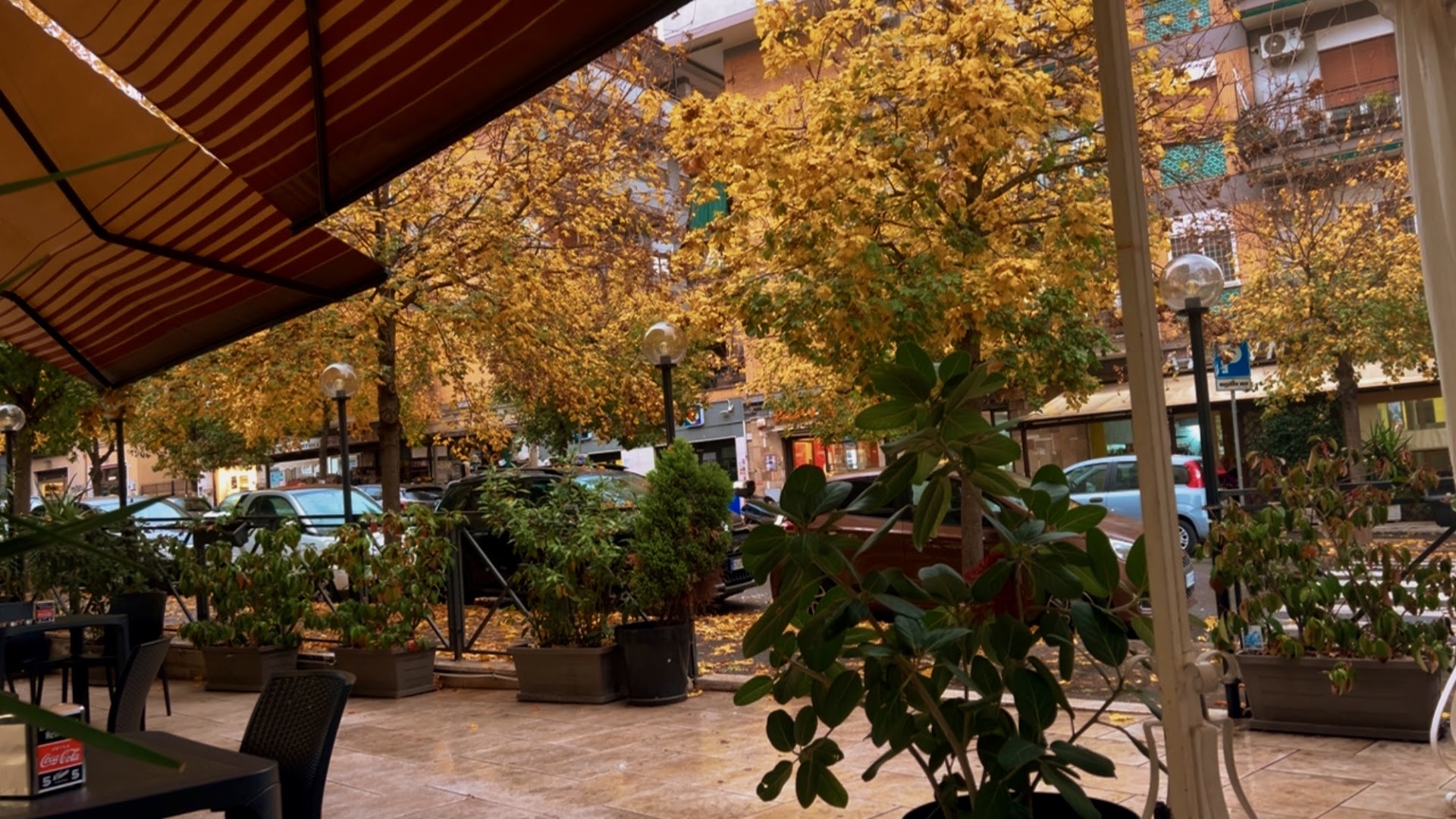 Pizzeria Baci