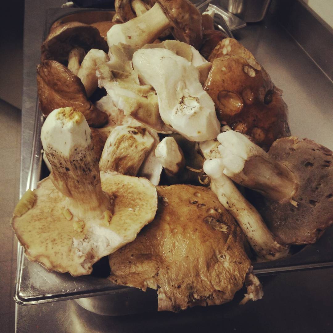 Pizzeria Birrificio Ristorante Sancolodi