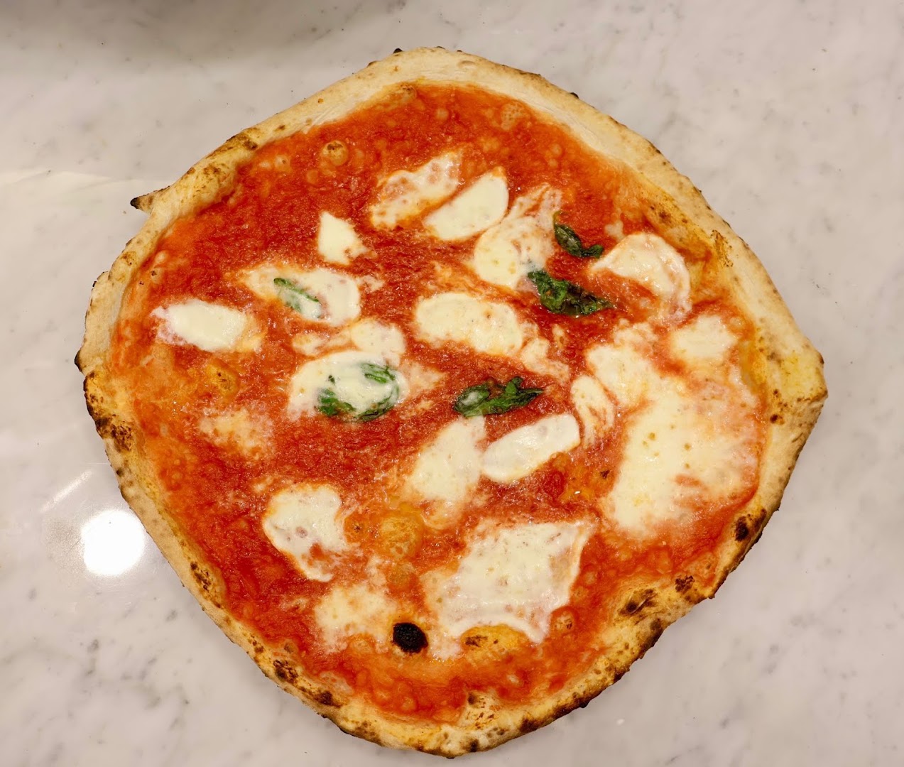 Pizzeria Borgo, Bologna