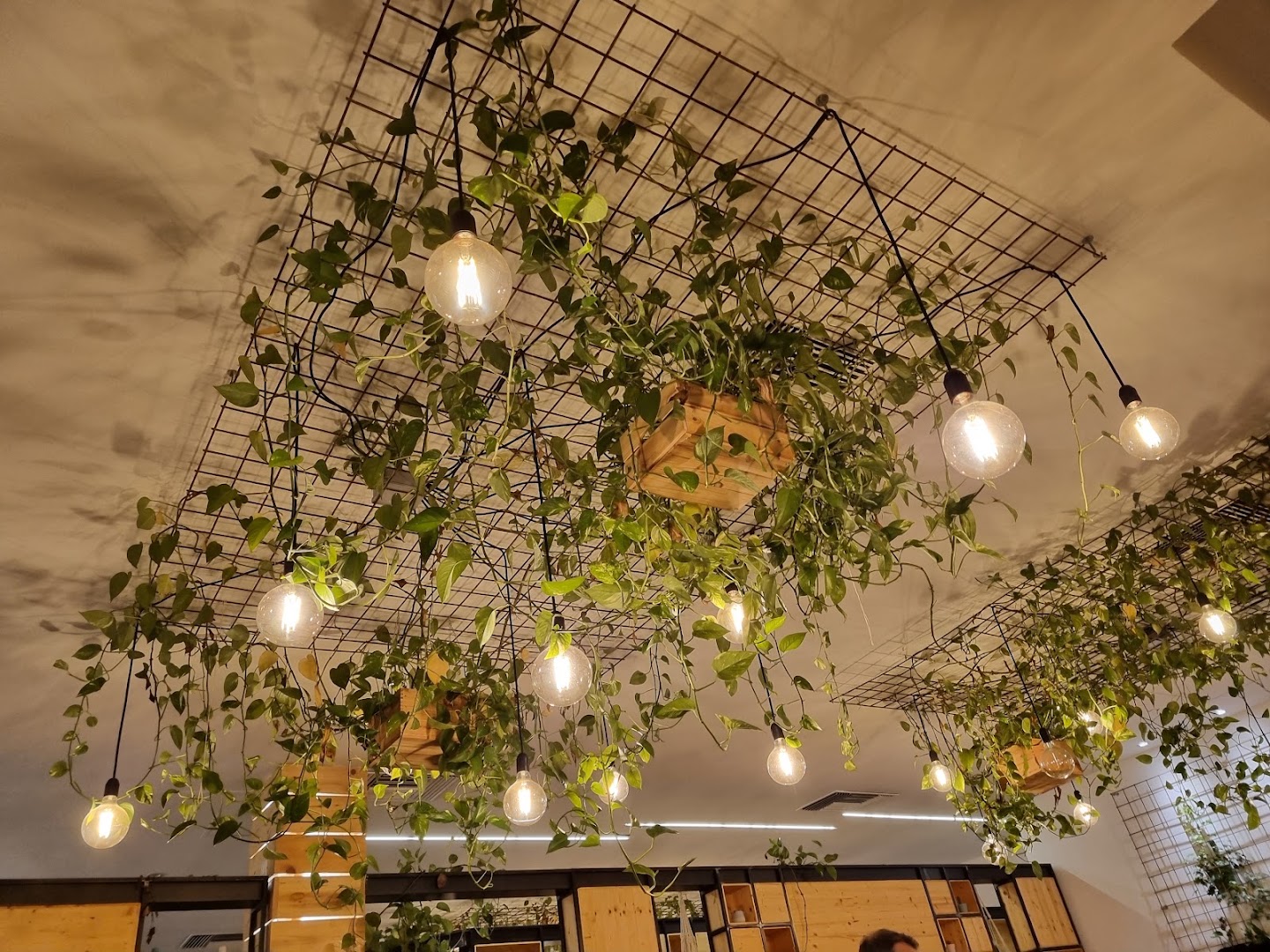 Pizzeria Ciliegino Autentici Sapori