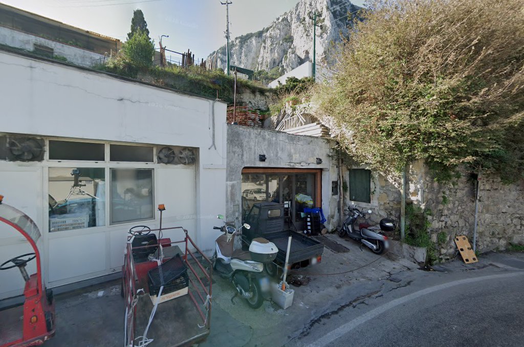 Pizzeria Forever