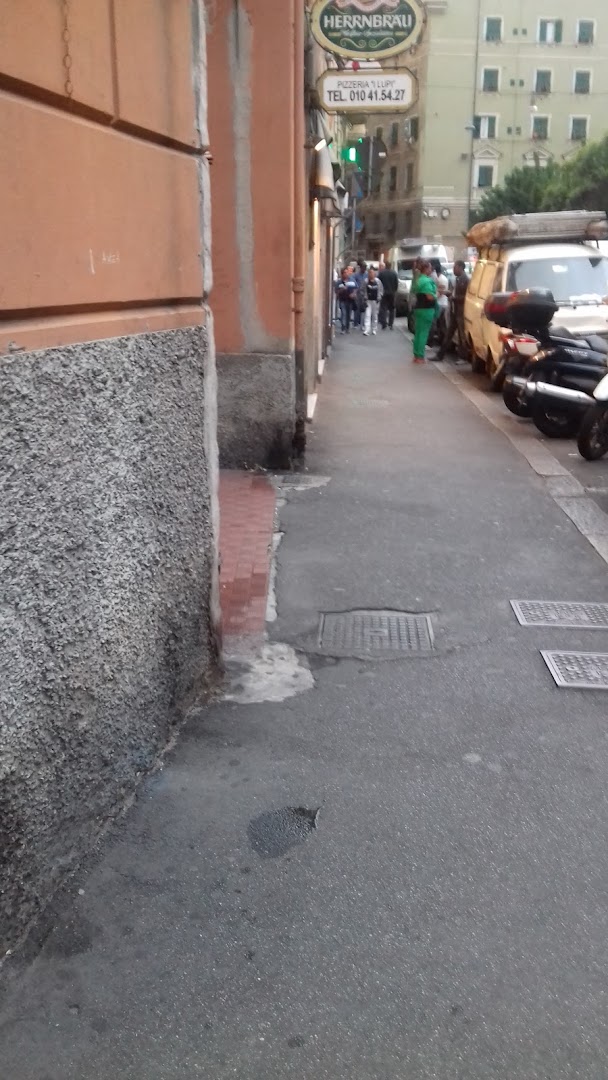 Pizzeria I Lupi