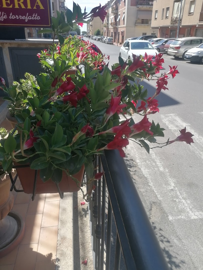 Pizzeria Il Vecchio Forno da asporto, Manciano