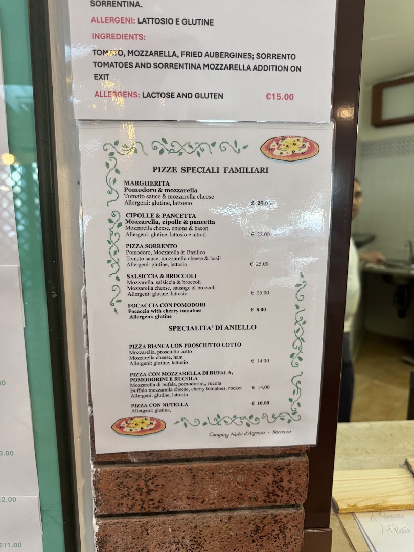PIZZERIA NUBE D'ARGENTO