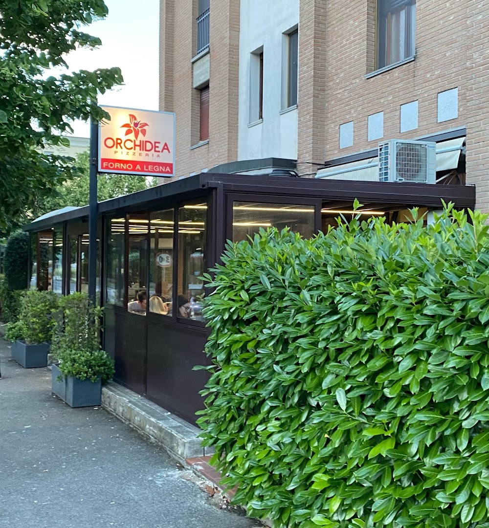 Pizzeria Orchidea
