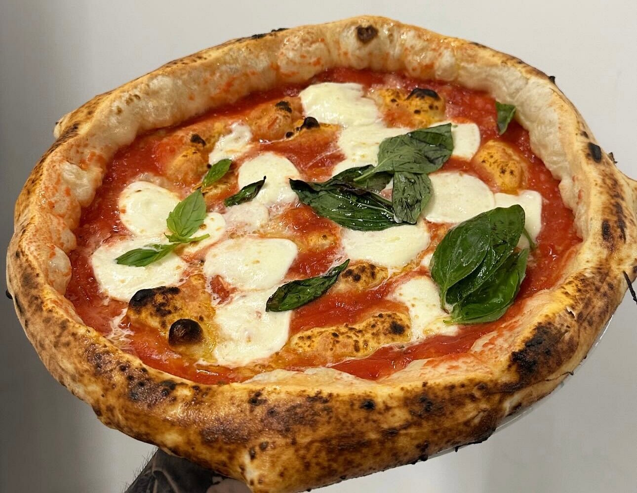 Pizzeria Polidoro di Maurizio D'Ambrosio