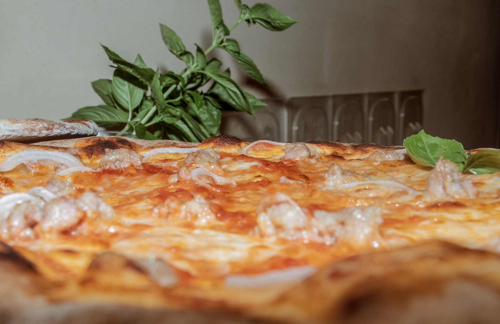 Pizzeria Ristorante da Jerry