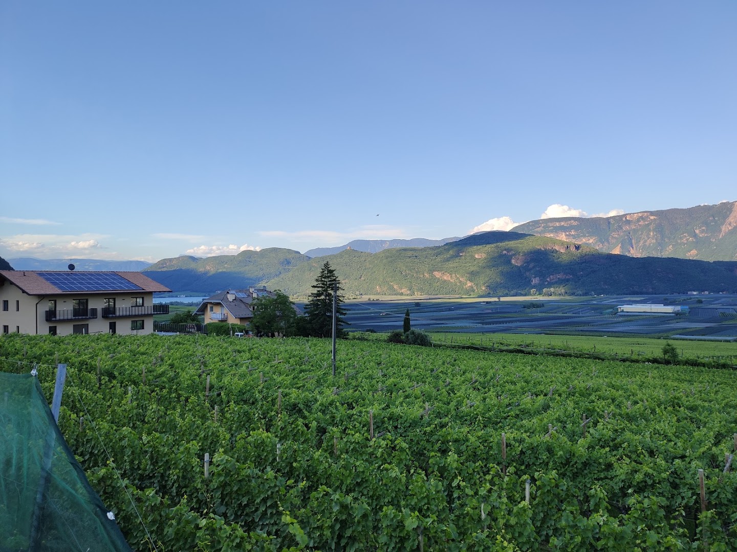 Pizzeria Schiessstand Tramin