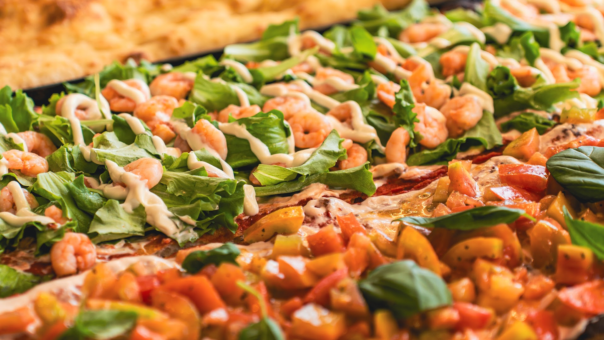 Pizzology-pizzeria a taglio