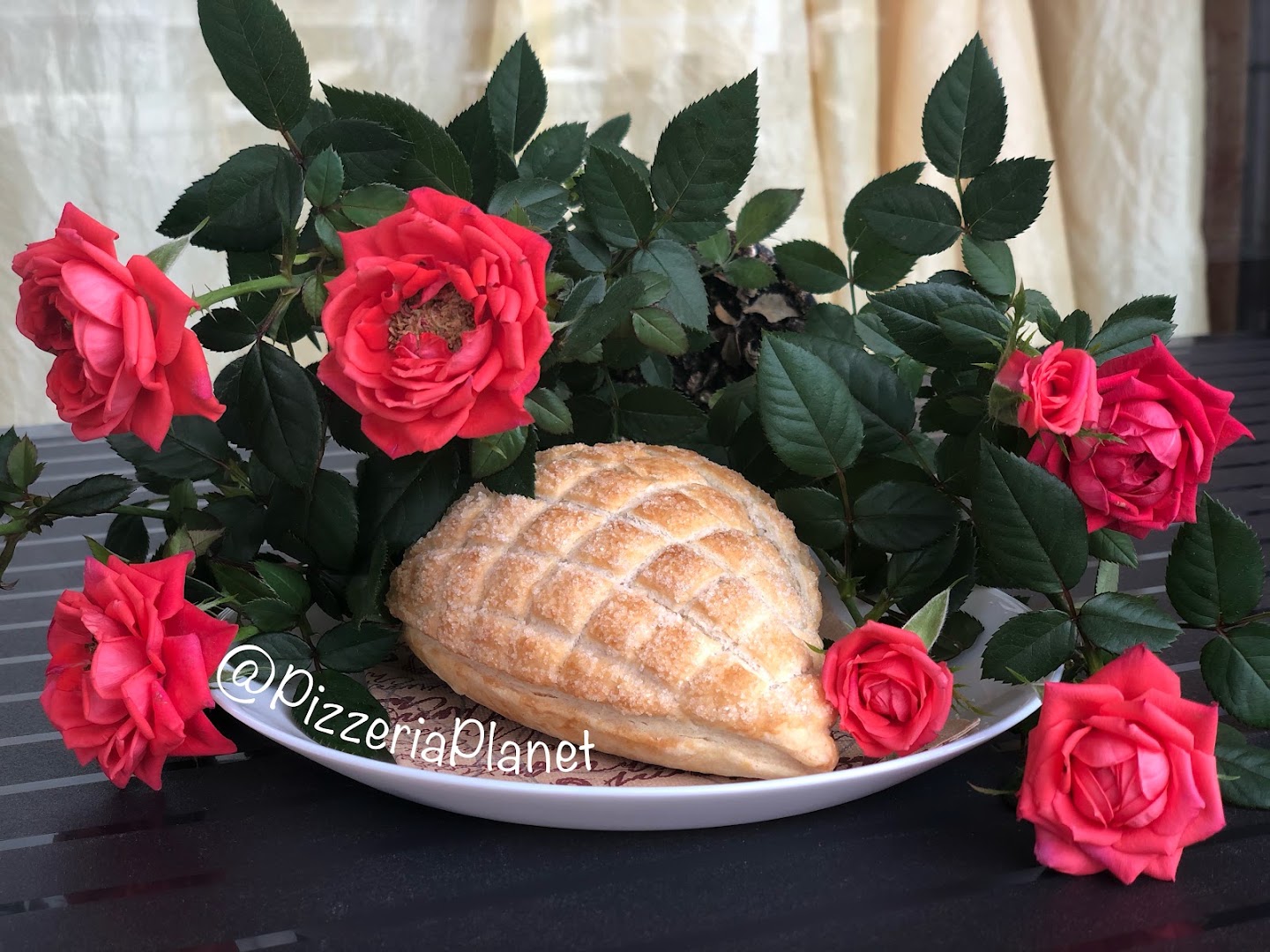 Planet ristorante & pizzeria