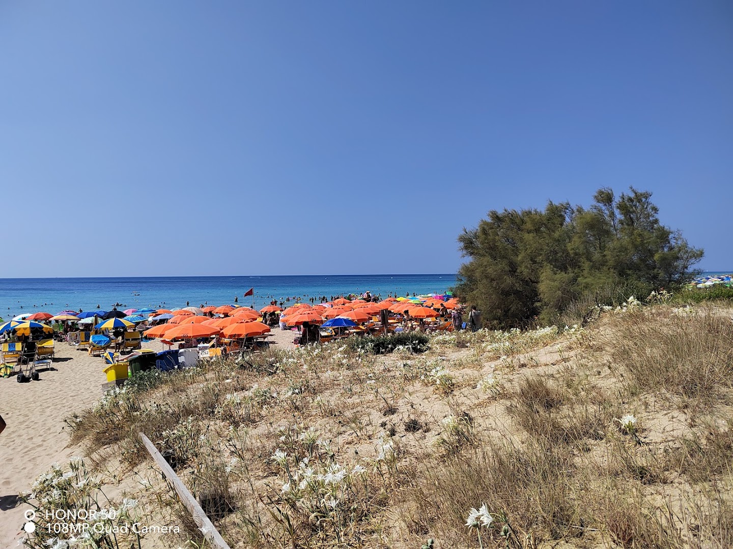 Playa San Pedro