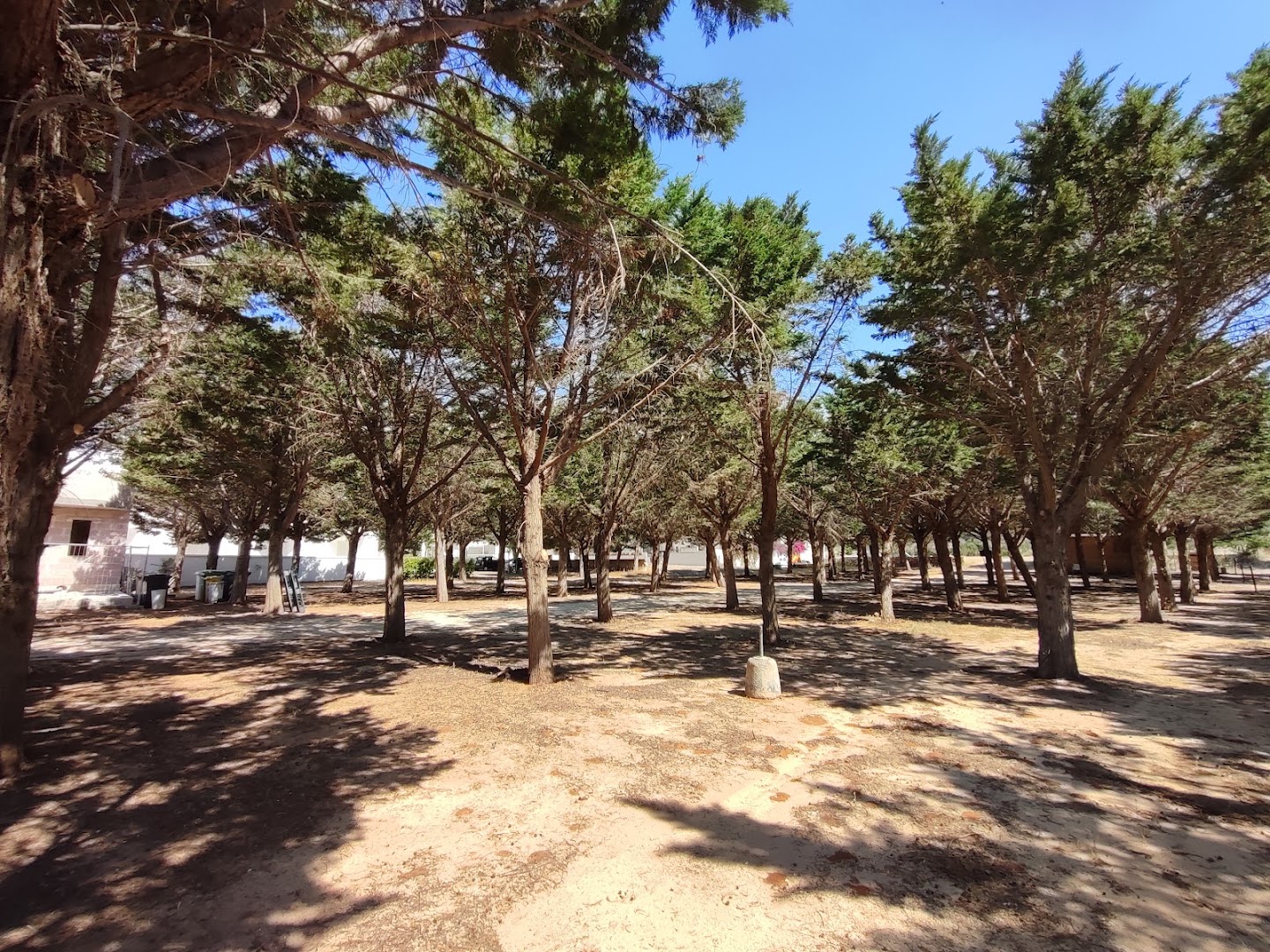 Playa San Pedro