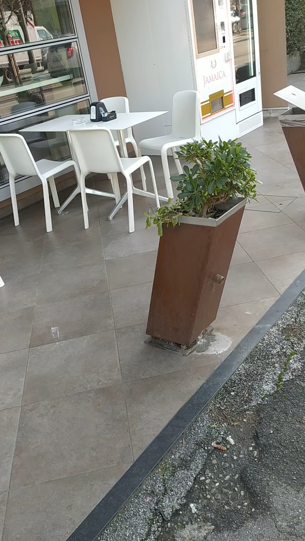 Ploom Store - Bar Tabacchi Cappuccini, Romano di Lombardia