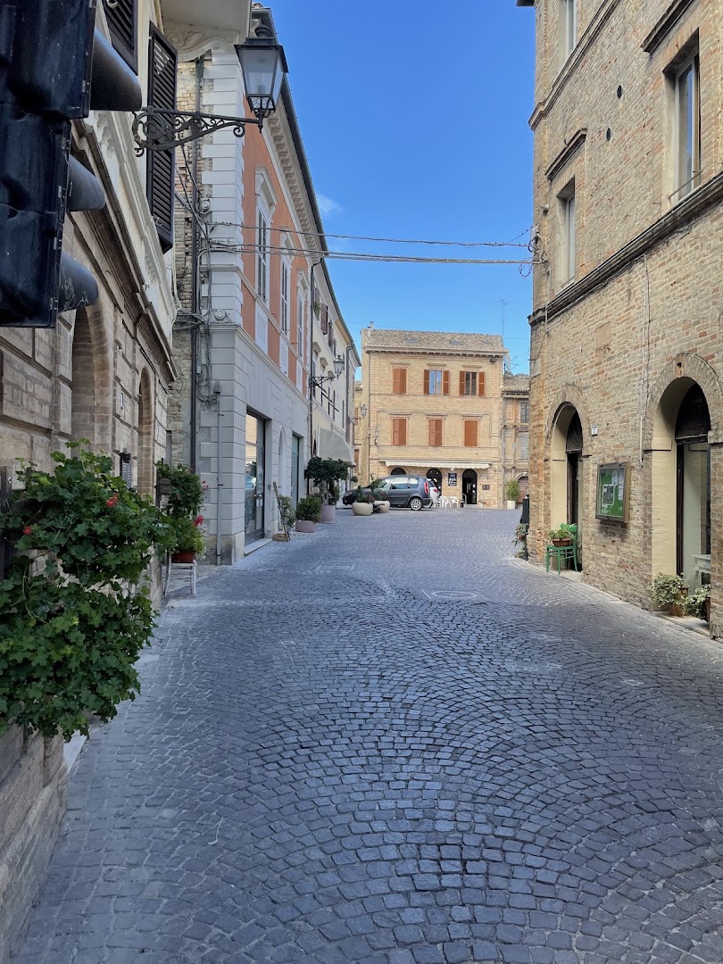 Ploom store-Sedano Nero Ristorante