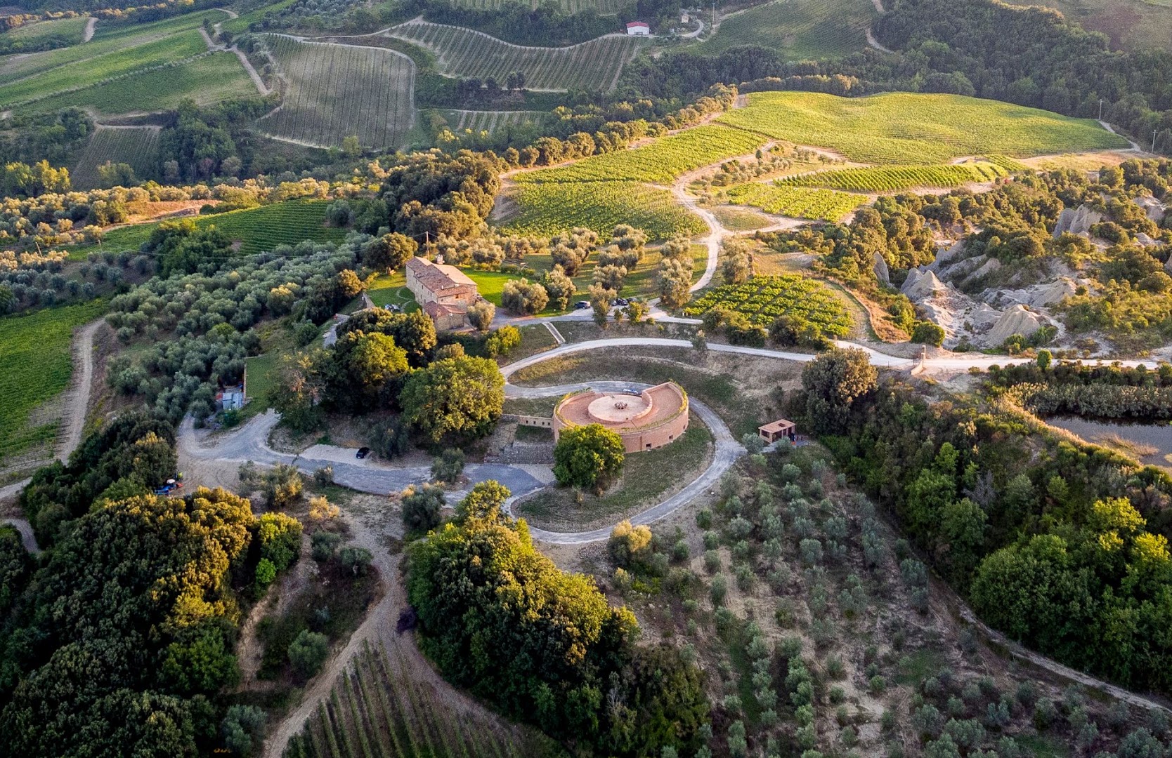 Podere Le Ripi | Winery in Montalcino