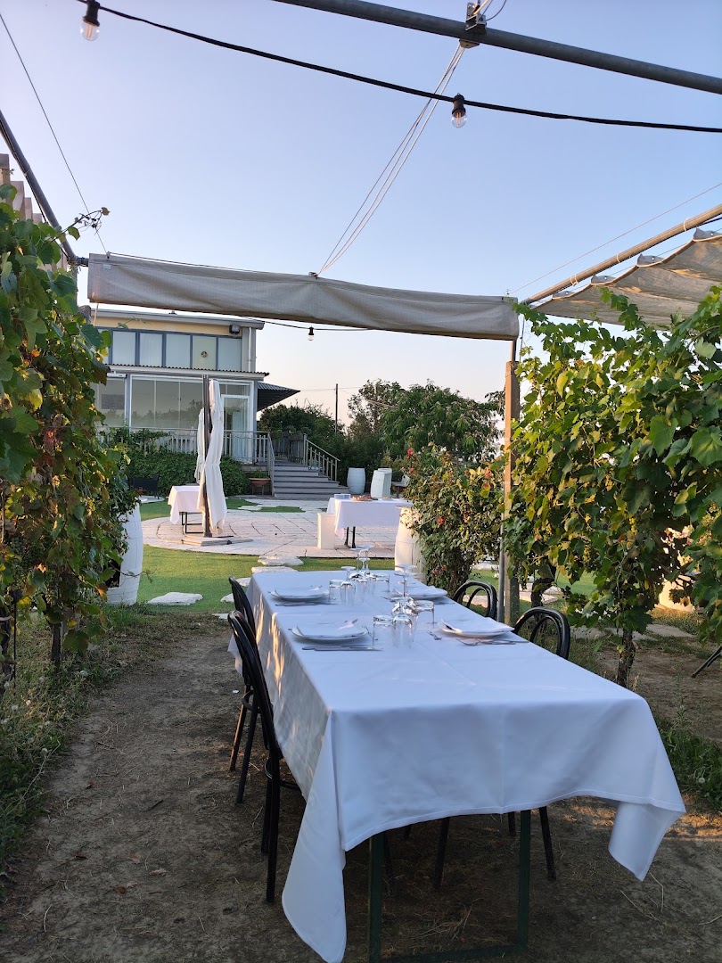 PODERE RIOSTO cantina, cene in vigna ed eventi