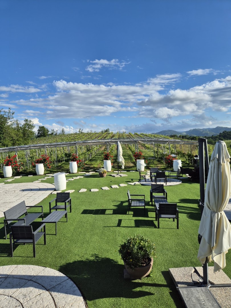 PODERE RIOSTO cantina, cene in vigna ed eventi