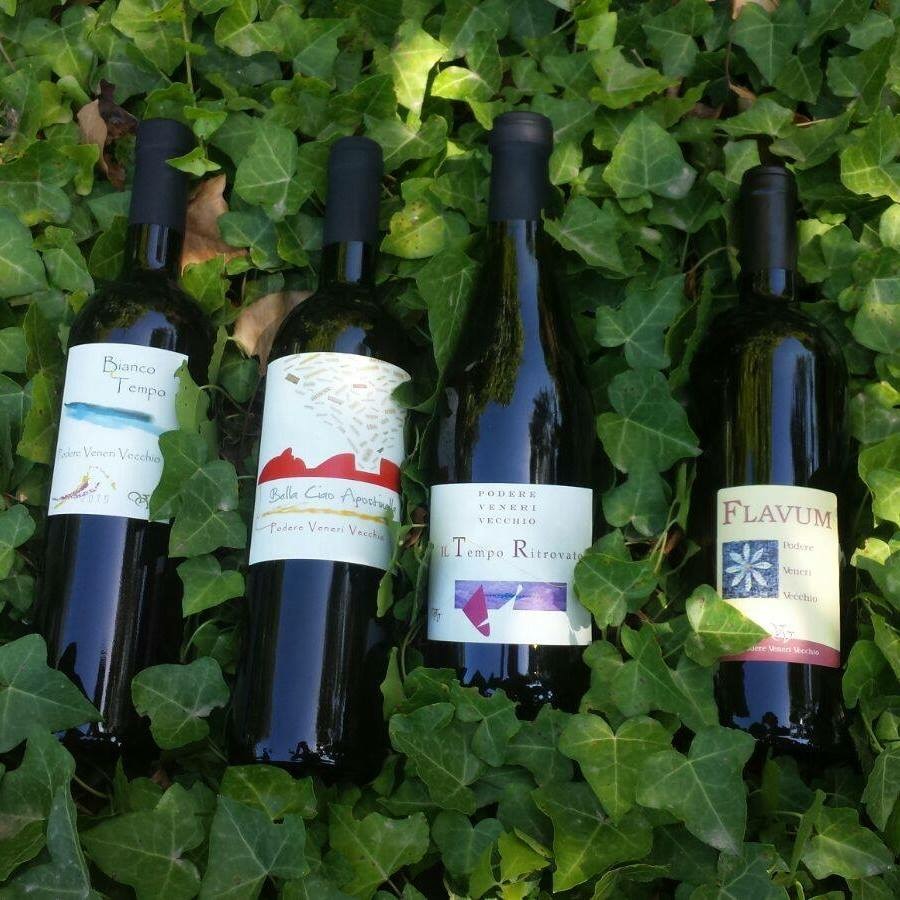 Podere Veneri Vecchio