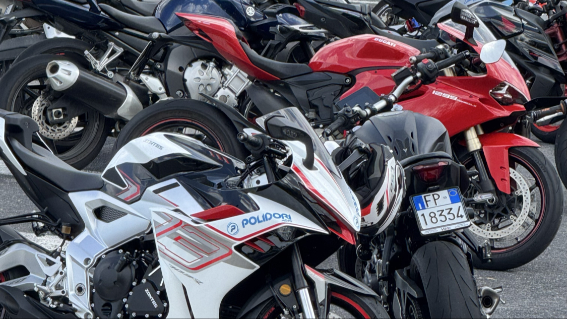Polidorimoto