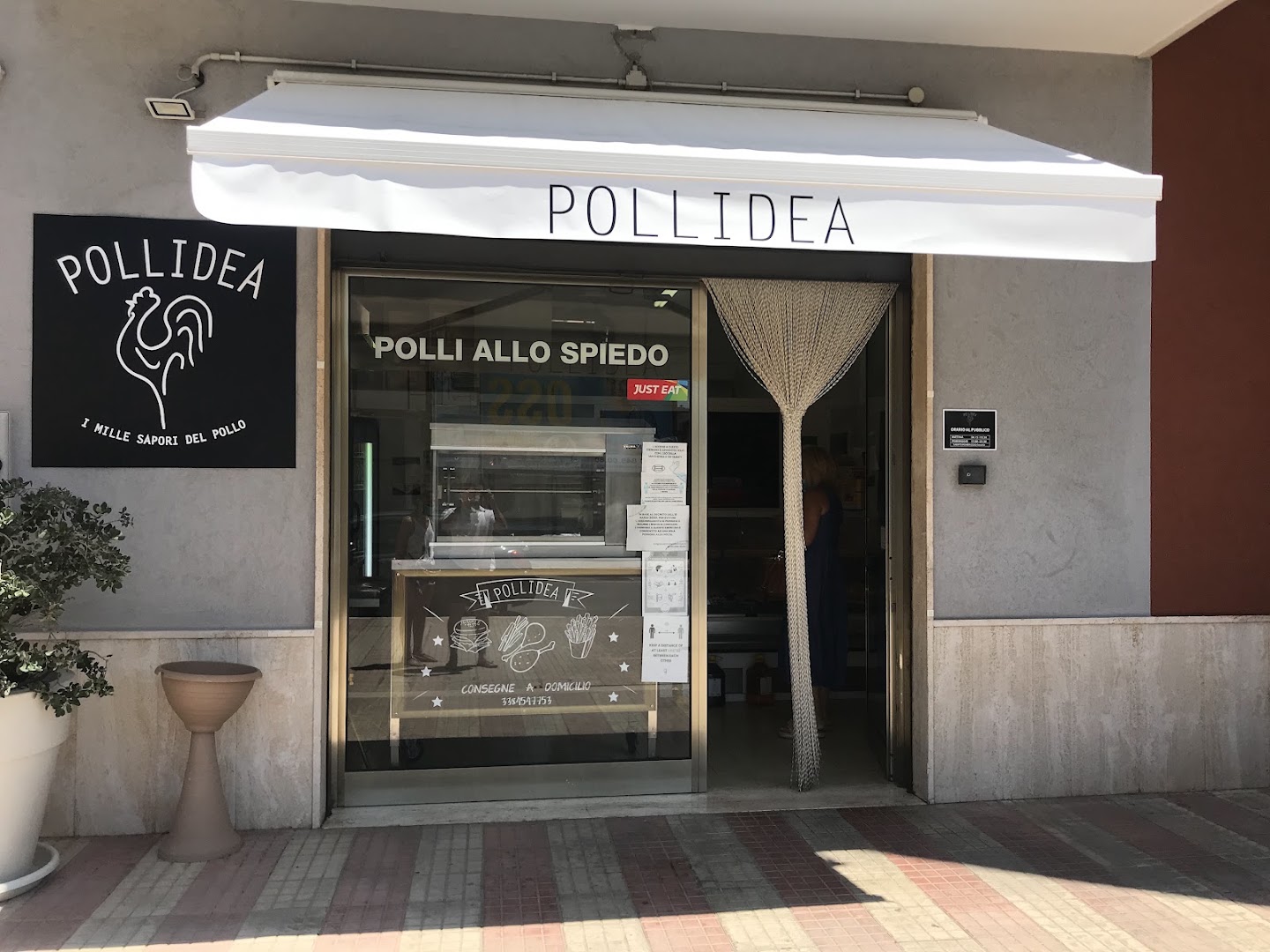 Pollidea
