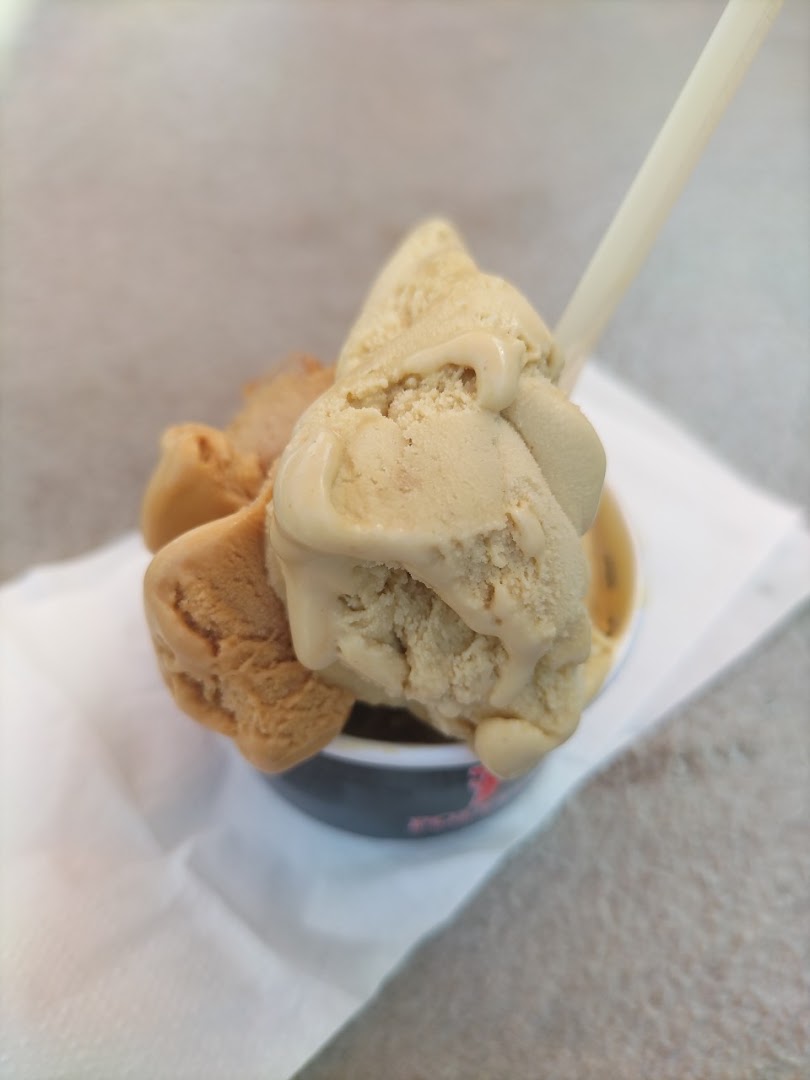 Polypus Bar Gelateria