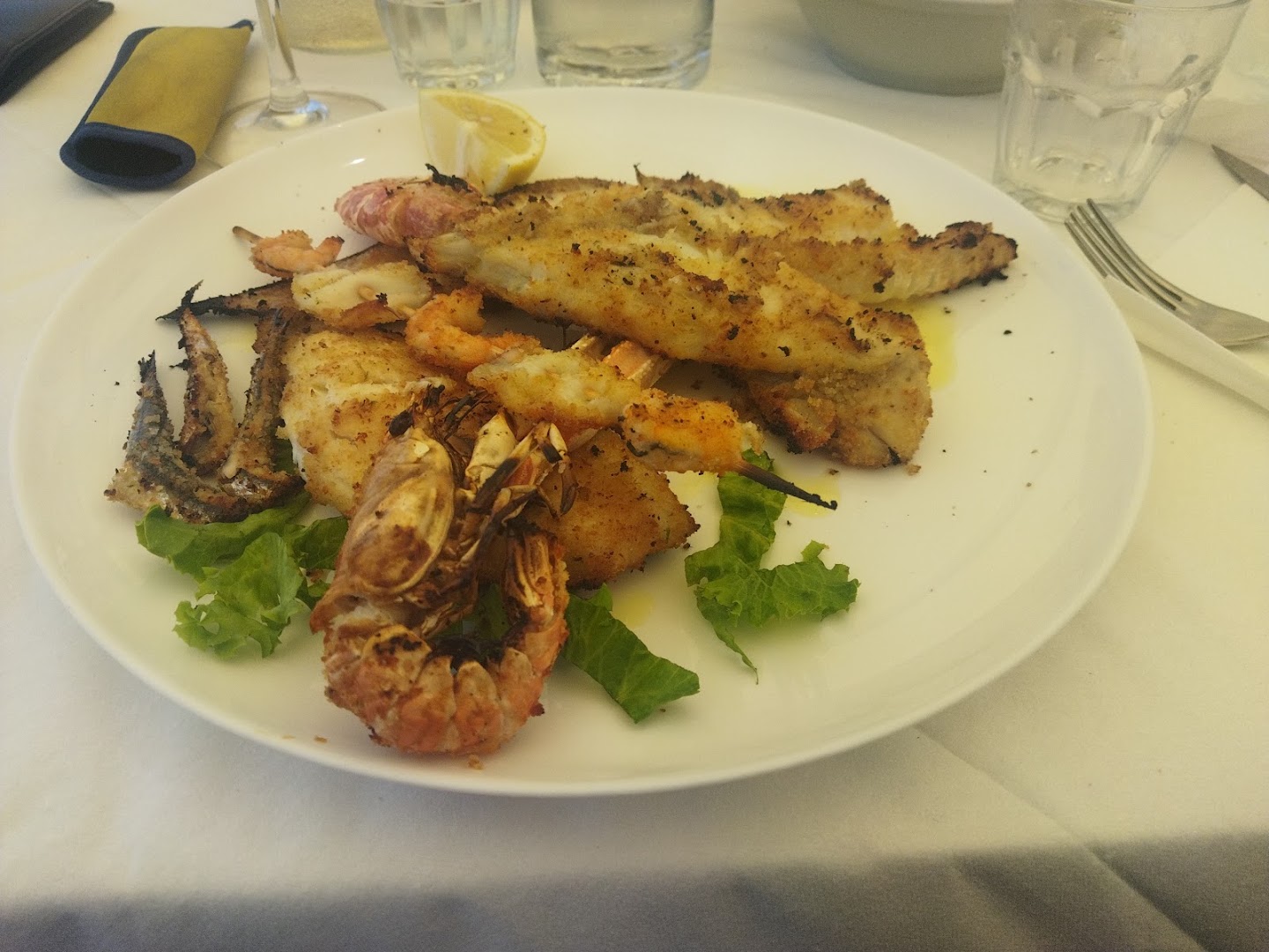 Pomodoro Senigallia