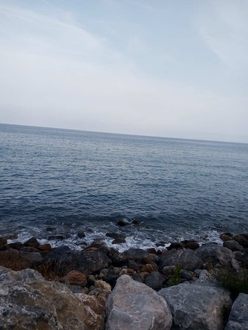 Ponente