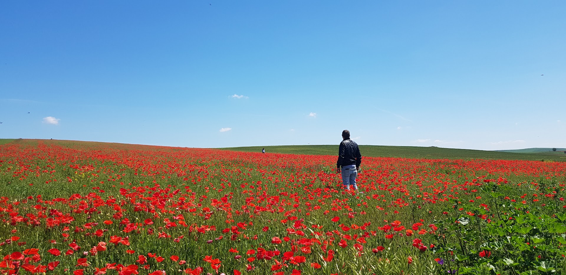 Ponte 21 Archi
