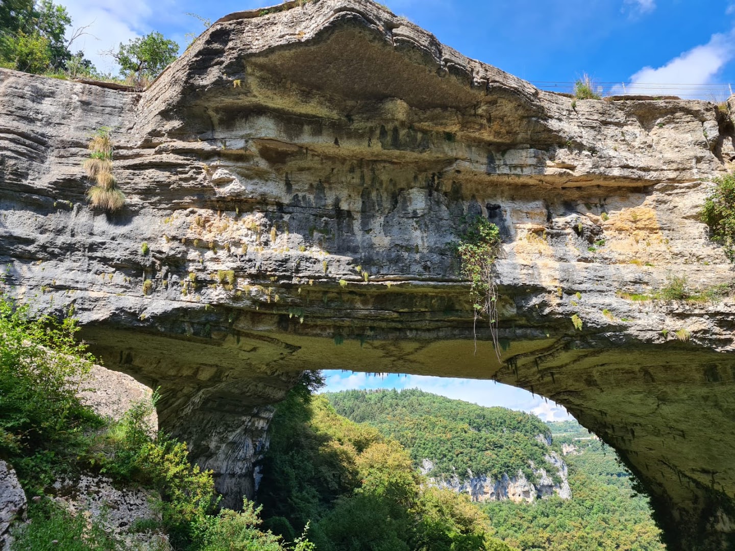 Ponte di Veja