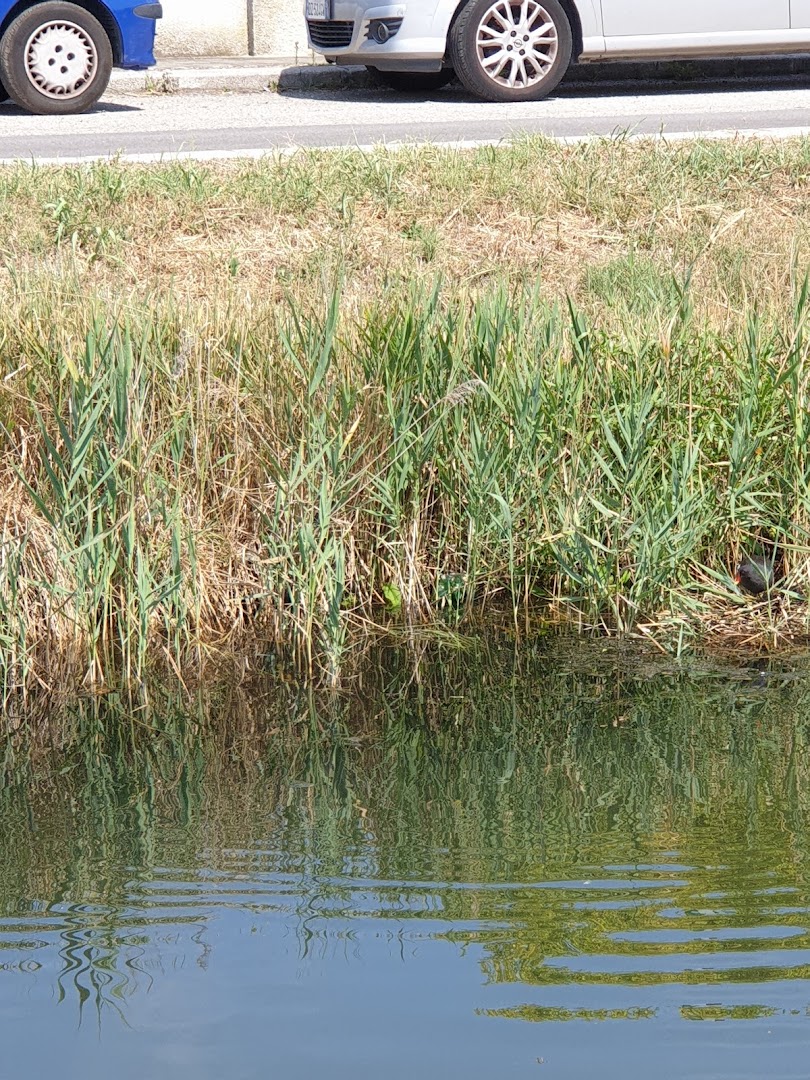 Ponte Pizzetti, Comacchio
