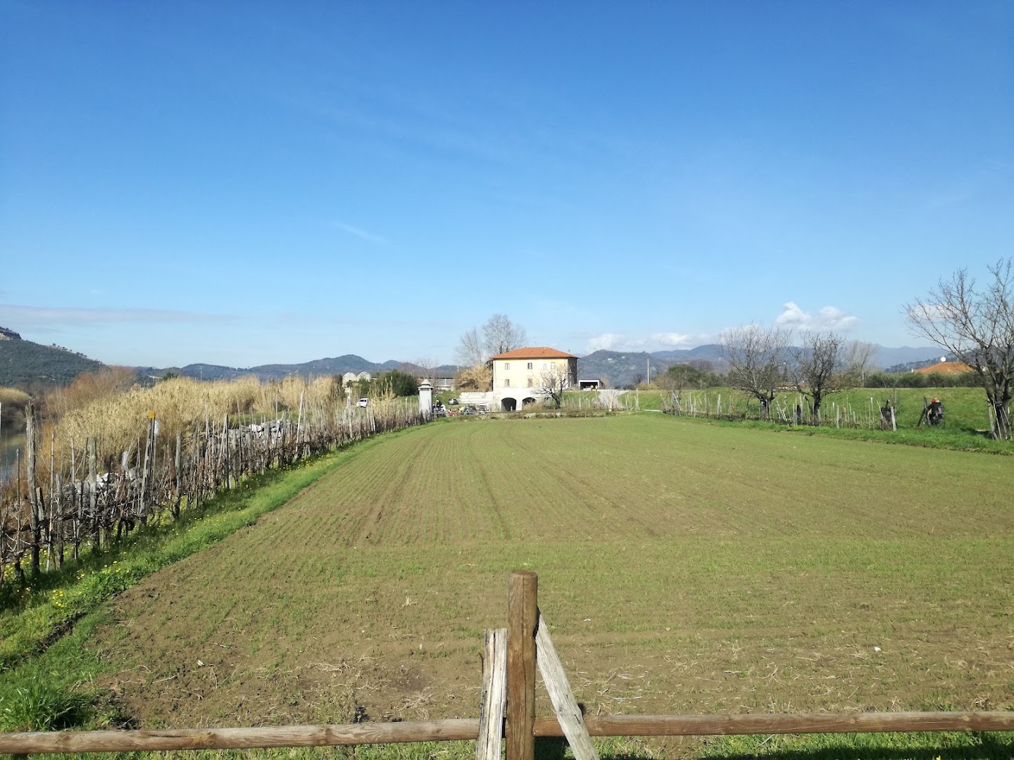 Porte vinciane di Rigoli