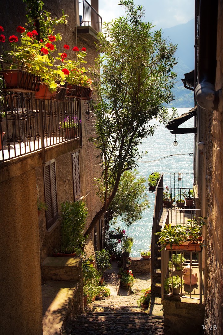 Porto Corenno Plinio