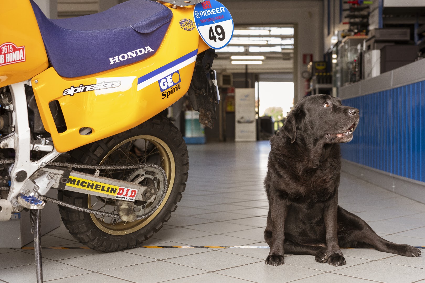 POWER BIKE sas