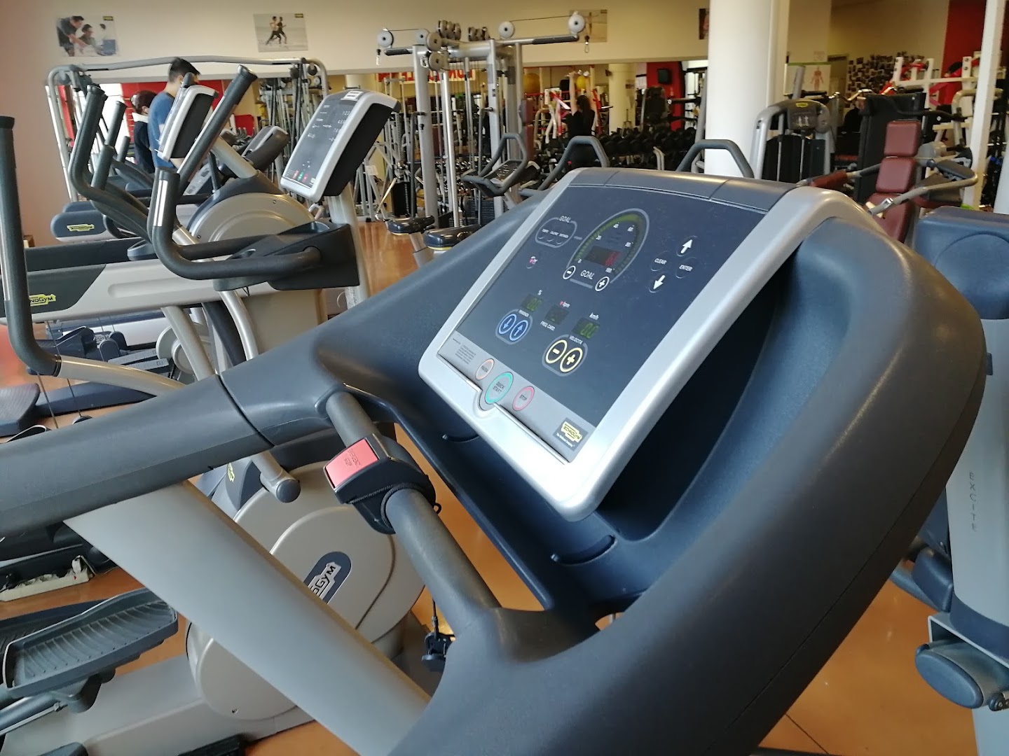 POWER GYM VENICE VITTORIO VENETO SRL