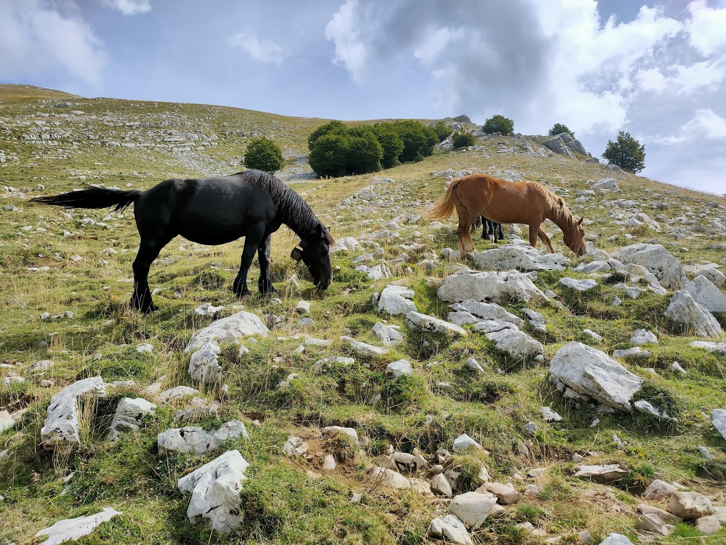 Prato di Campoli