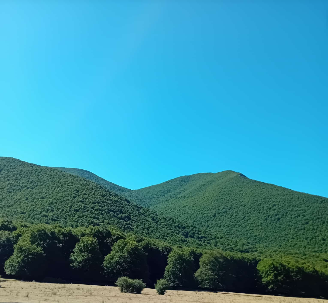 Prato di Campoli
