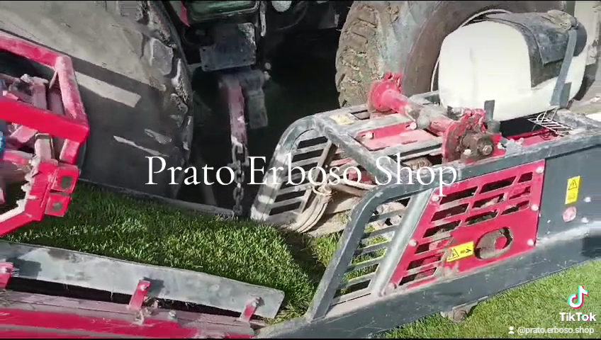 Prato Erboso Shop, Orta Nova