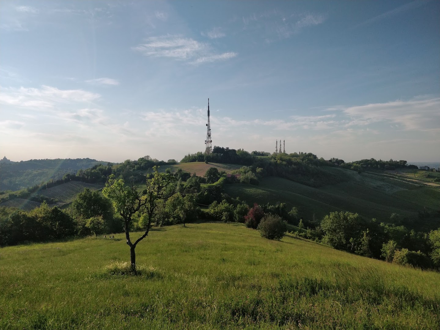 Prato Monte Donato, Bologna