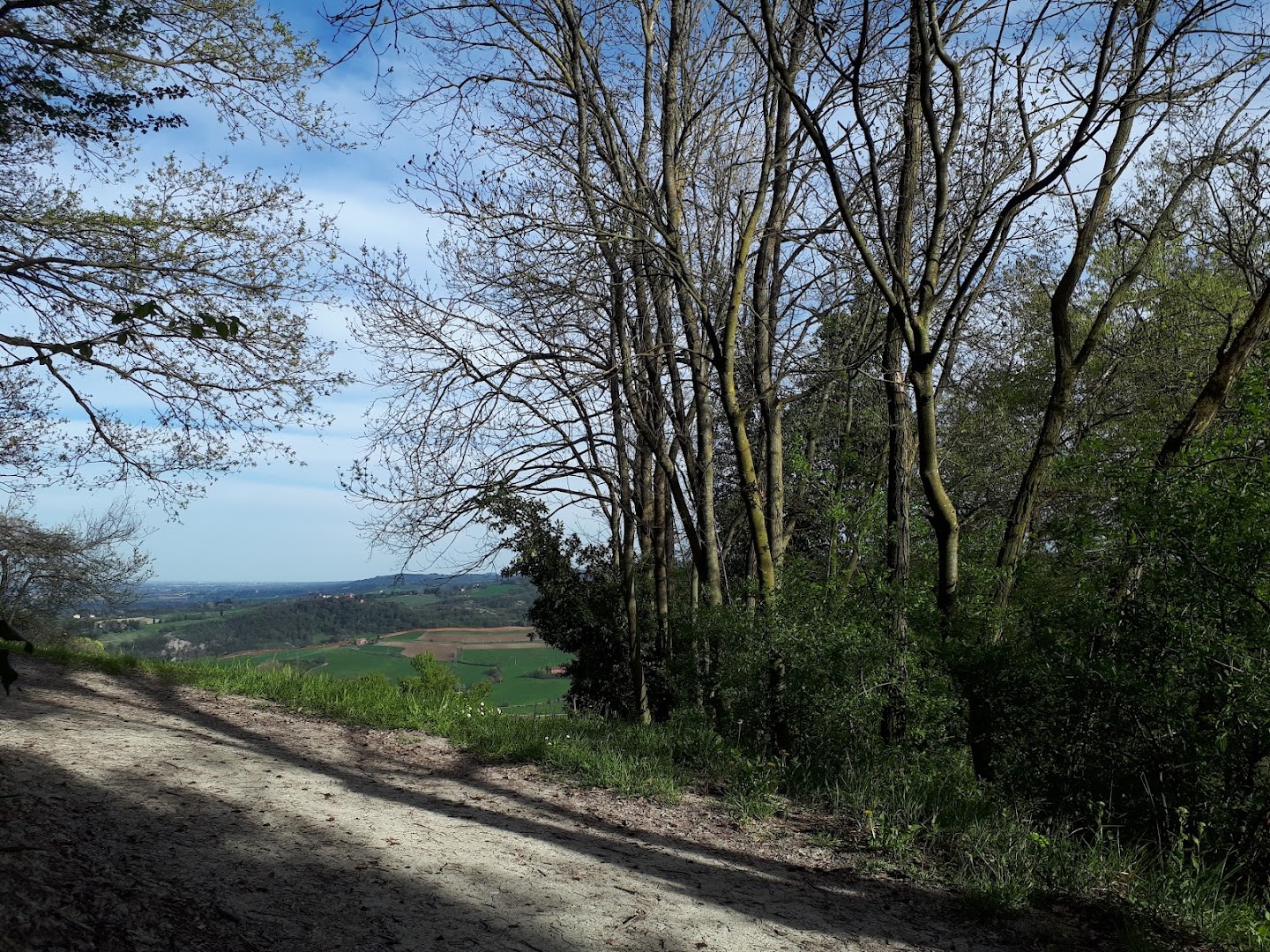 Prato Monte Donato