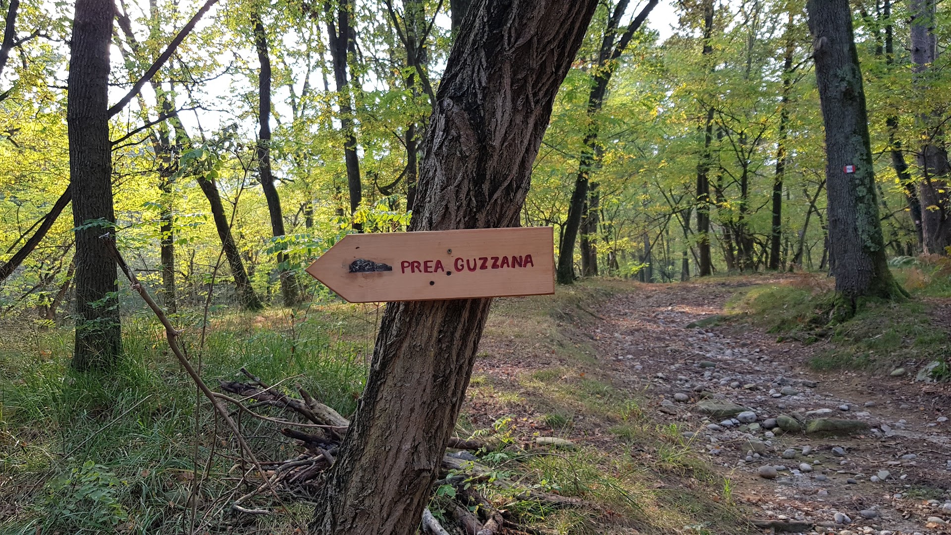 Prea Guzza