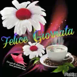 Prime colazioni Belluardo