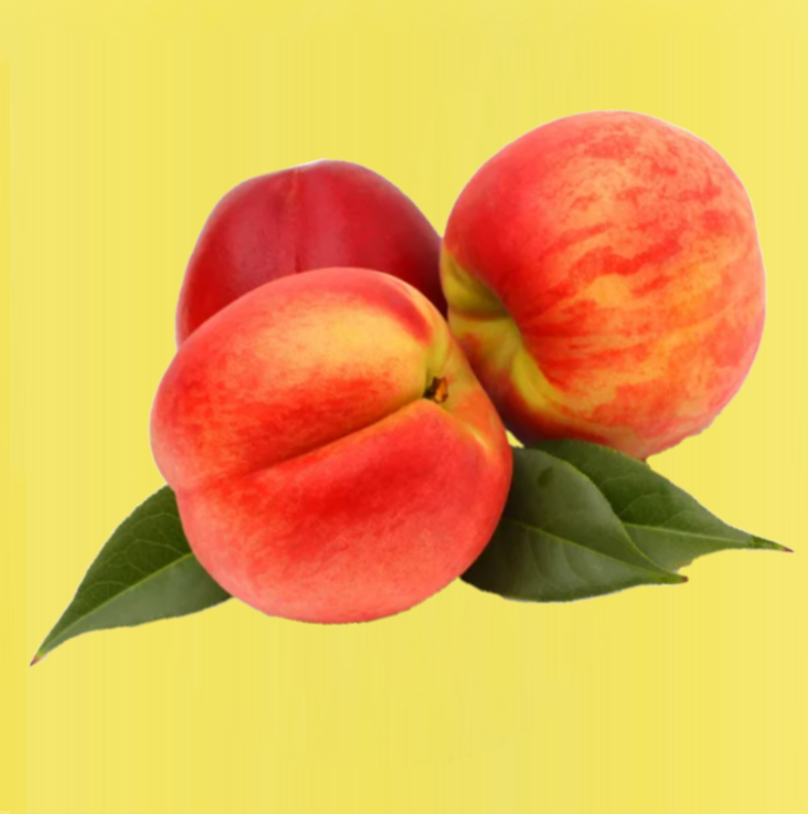 Prodotti Tipici Calabresi CASTROFRUTTA sas